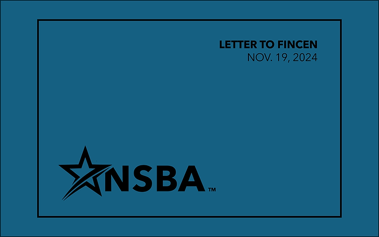 Urge Congress to repeal and reform the Corporate Transparency Act (CTA).